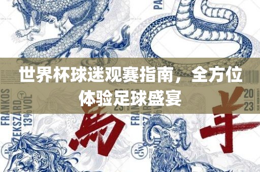 世界杯球迷观赛指南，全方位体验足球盛宴
