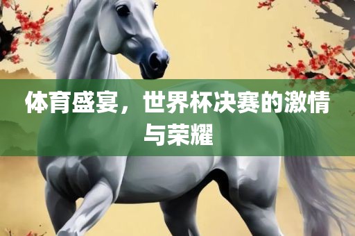 体育盛宴，世界杯决赛的激情与荣耀