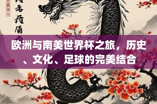 欧洲与南美世界杯之旅，历史、文化、足球的完美结合