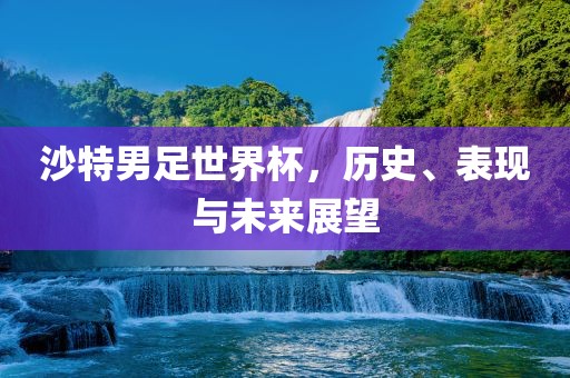 沙特男足世界杯，历史、表现与未来展望