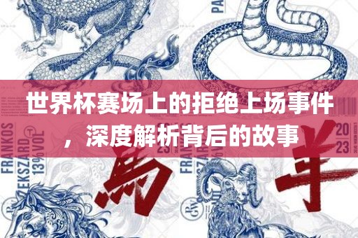 世界杯赛场上的拒绝上场事件，深度解析背后的故事