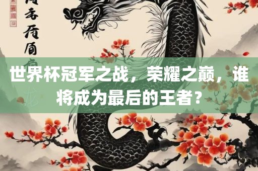 世界杯冠军之战，荣耀之巅，谁将成为最后的王者？
