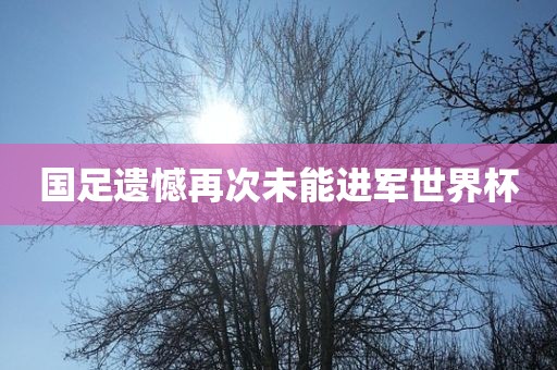 国足遗憾再次未能进军世界杯