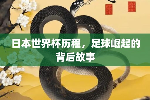 日本世界杯历程，足球崛起的背后故事