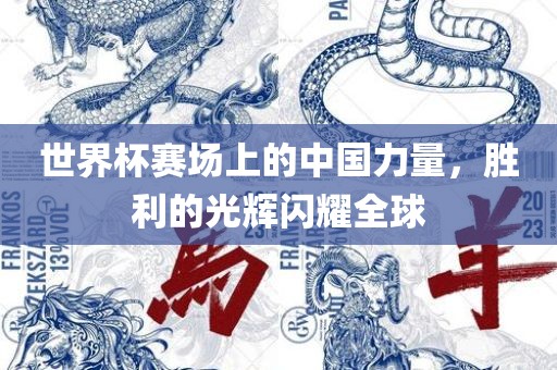 世界杯赛场上的中国力量，胜利的光辉闪耀全球