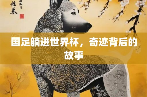 国足躺进世界杯，奇迹背后的故事
