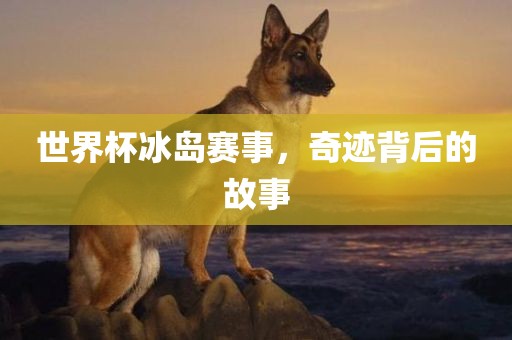 世界杯冰岛赛事，奇迹背后的故事