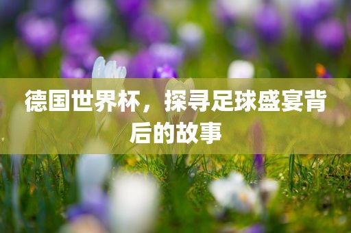 德国世界杯，探寻足球盛宴背后的故事