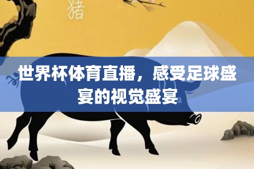世界杯体育直播，感受足球盛宴的视觉盛宴