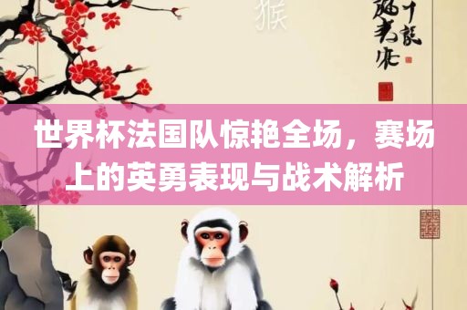 世界杯法国队惊艳全场，赛场上的英勇表现与战术解析