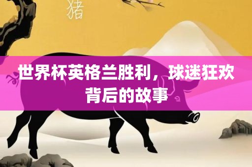 世界杯英格兰胜利，球迷狂欢背后的故事