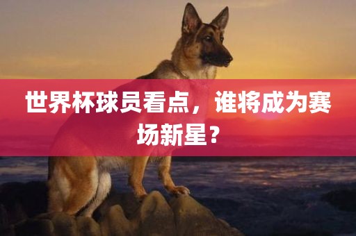 世界杯球员看点，谁将成为赛场新星？