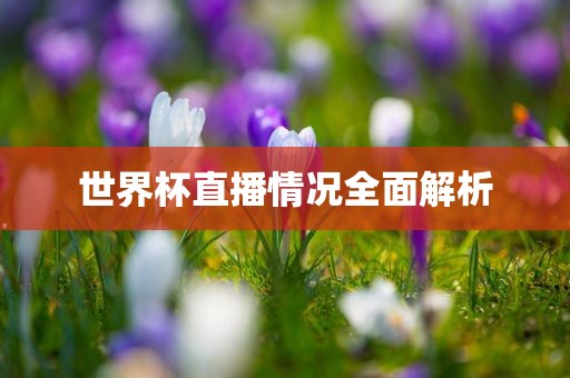 世界杯直播情况全面解析