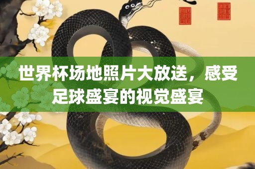 世界杯场地照片大放送，感受足球盛宴的视觉盛宴