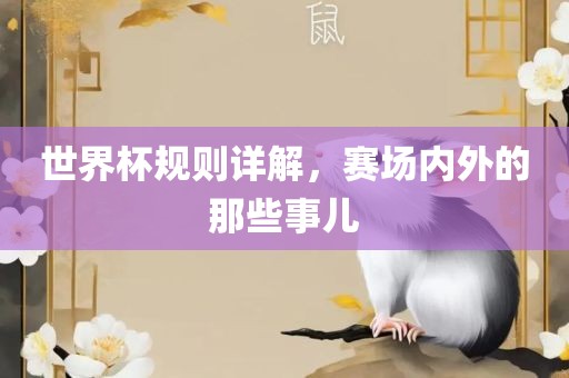 世界杯规则详解,赛场内外的那些事儿