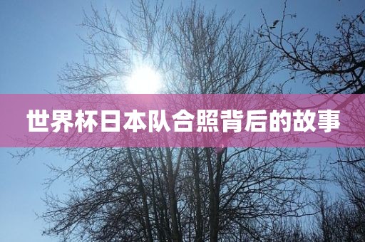 世界杯日本队合照背后的故事