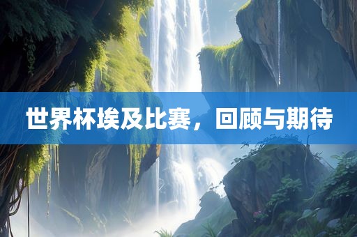 世界杯埃及比赛，回顾与期待