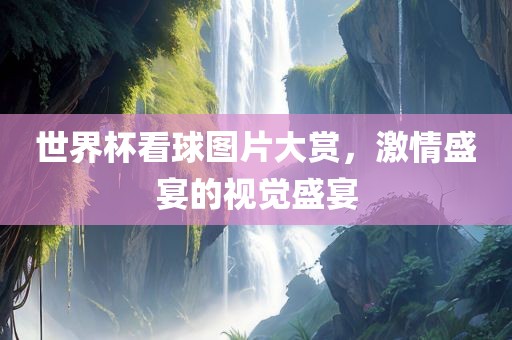 世界杯看球图片大赏，激情盛宴的视觉盛宴