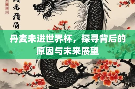 丹麦未进世界杯，探寻背后的原因与未来展望