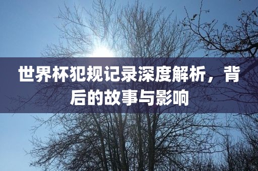 世界杯犯规记录深度解析，背后的故事与影响