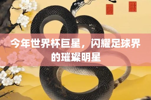 今年世界杯巨星，闪耀足球界的璀璨明星