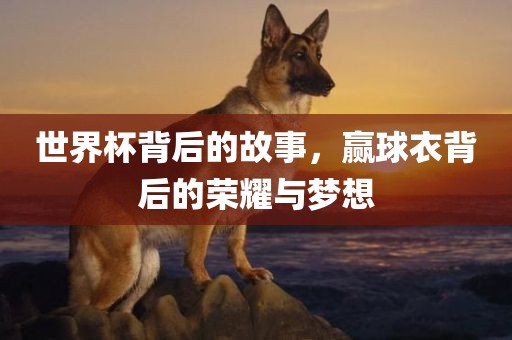 世界杯背后的故事，赢球衣背后的荣耀与梦想