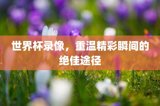 世界杯录像，重温精彩瞬间的绝佳途径