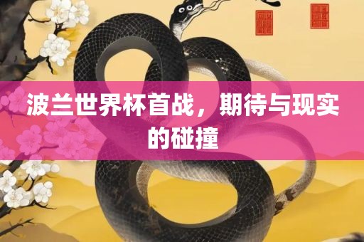 波兰世界杯首战，期待与现实的碰撞