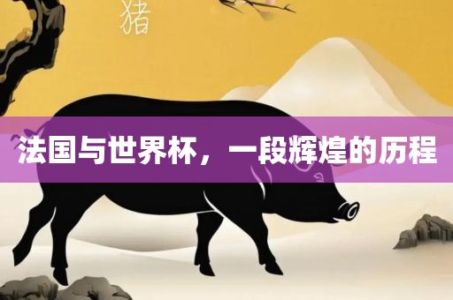 法国与世界杯，一段辉煌的历程