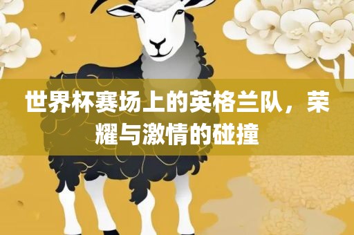 世界杯赛场上的英格兰队，荣耀与激情的碰撞