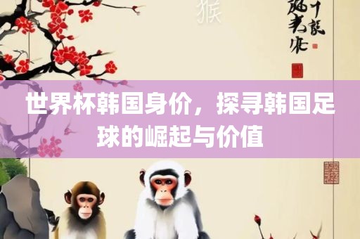 世界杯韩国身价，探寻韩国足球的崛起与价值