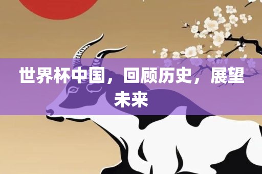 世界杯中国，回顾历史，展望未来