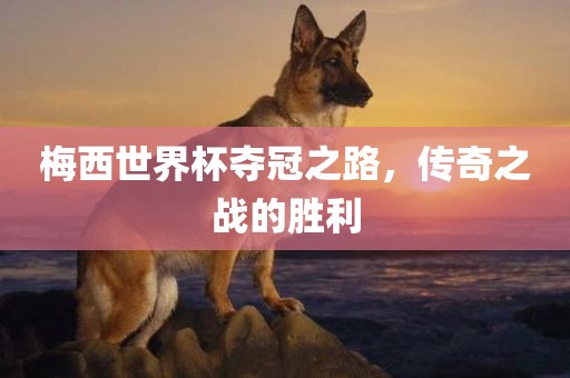 梅西世界杯夺冠之路，传奇之战的胜利